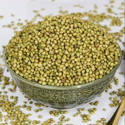 Burhan Super Green Coriander Whole 10Kgs. Indian