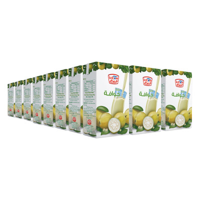 معجون الزنجبيل أيروبلاين 300 جرام ×12