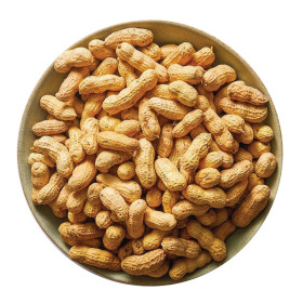 Burhan Roasted Peanuts with Shell (1 kg)