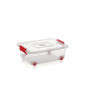 Nakoda No. 111 Random Venus Container 1Pcs