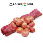 Hff Onion. 5Kg. Indian