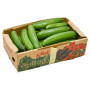 Hff Cucumber 2Kgs. Kuwait