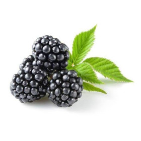 Hff Fresh Black Berry 150Gm
