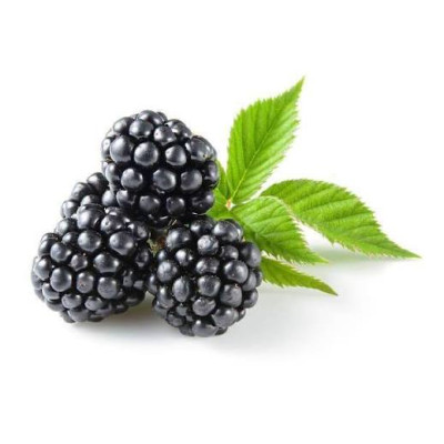 Hff Fresh Black Berry 150Gm