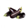 Hff Kuwait Brinjal 1Kg