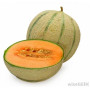Hff India Musk Melon 1Kgs
