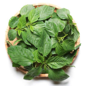 Hff Mulkiya Leaves 1Pc