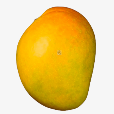 Hff Devgad Alphanso Mango 1Kg