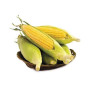 Hff Jordan Fresh Corn 1Kg