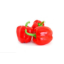 Hff Jordan Red Capsicum 1.8Kgs