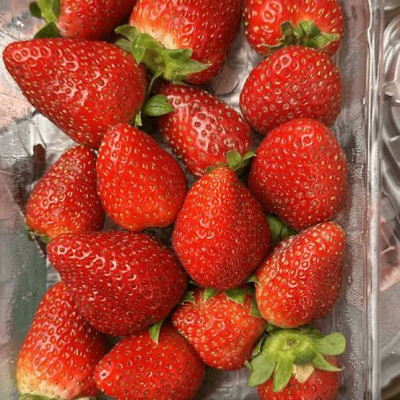 Hff Strawberry 1Box. Jordan