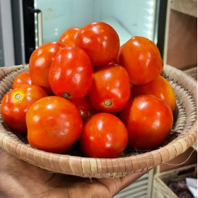 Hff Tomato Small 1Kg