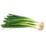 Hff Spring Onion 1Pkt