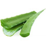 Hff Fresh Aloevera 1Kg