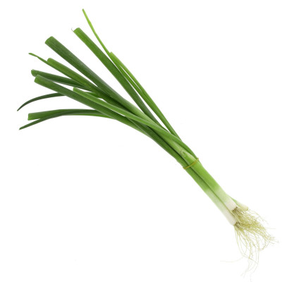Hff Spring Onion 1Pcs