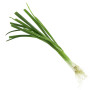 Hff Spring Onion 1Pcs