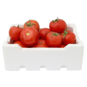 Hff Tomato 8Kgs. Jordan
