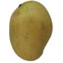 Hff Mango Sukkari Egypt 1Kg