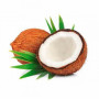 Hff Indian Coconut 1Pcs. Indian