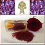 Rose Brand Pure Spanish Saffaron 1G