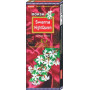 Moksh Swarna Night Queen Agarbatti 20Pcs