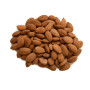 Burhan Turkey Apricot Kernel 1Kg