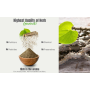 Burhan Guduchi - Godawaj Powder 1Kg