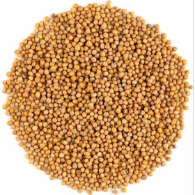 Burhan Yellow Mustard Seeds 1Kg. Indian