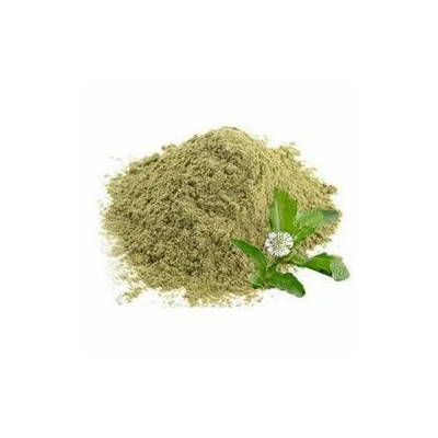 Burhan Bhringraj Powder 1Kg