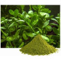 Burhan Brahmi Powder 1Kg