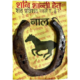 AE Horseshoe, 1 pc
