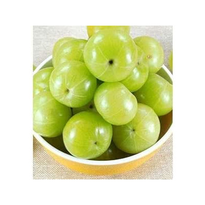 Fresh Amla 1Kg