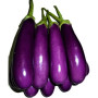 Fresh Blue Brinjal 1Kg