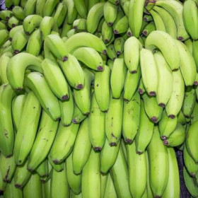 Fresh Green Banana 1Kg