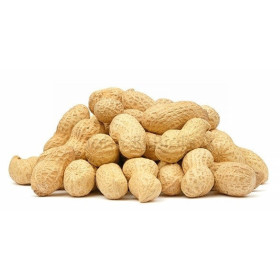 Fresh Peanut 1Kg