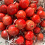 Fresh Anar-Pome Granate 1Kg