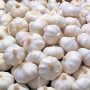 Fresh Garlic 1Kg. India