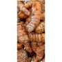 Fresh Yellow Haldi 1Kg
