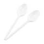Disposable Heavyduty Plastic Table Spoon 50P