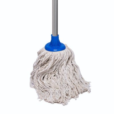 Liza Mop With Handle 350Gm