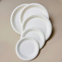 Dispomax No. 8In Biodegradable Plate 10Pc