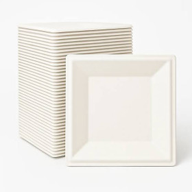Dispomax No. 8In Biodegradable Square Plate 10Pc