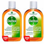 Dettol Liquid 500Ml X 2