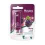 Himalaya Berry Shine Lip Balm 4.5G