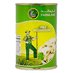 فطر فارملاند ب و س 400جرام