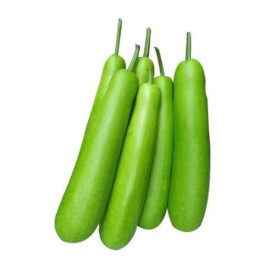 Fresh Dudi-Bottle Guard 1Kg