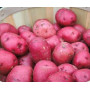 Snd Alo Red Bangla 1Kg