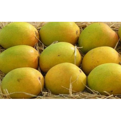 Amr Senthoor Mango 1Kg
