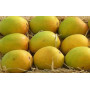 Amr Senthoor Mango 1Kg