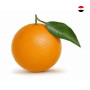 Hff Valencia Orange 1Kg. Egypt